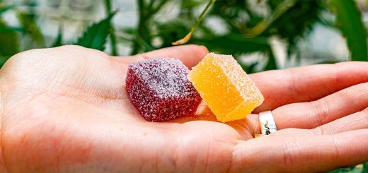 Delta 9 Gummies Elevate Your Experience with Each Chew