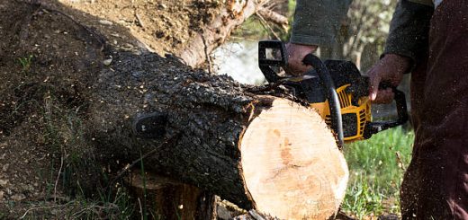 Emergency Tree Removal: Rapid Response for Storm Damage